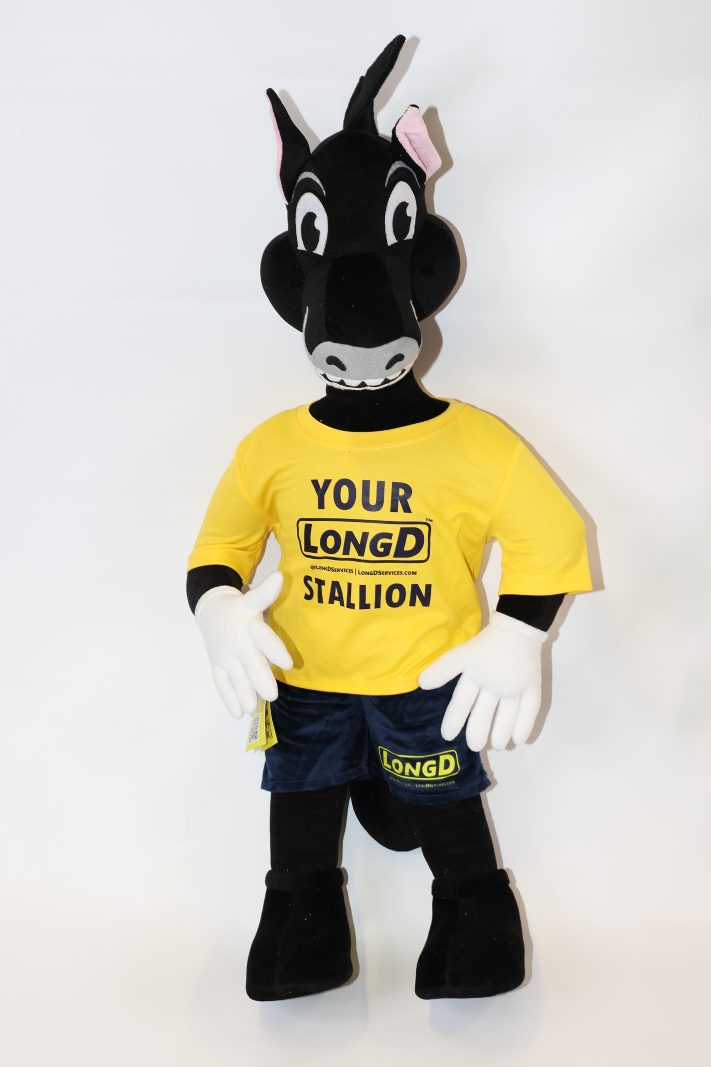 Lonnie II in pique shirt